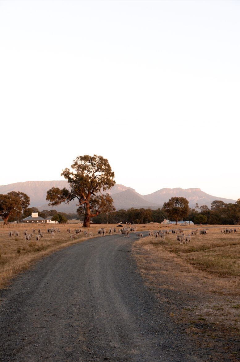 The Homestead at Mount William Station - Grampians, VIC, Australia