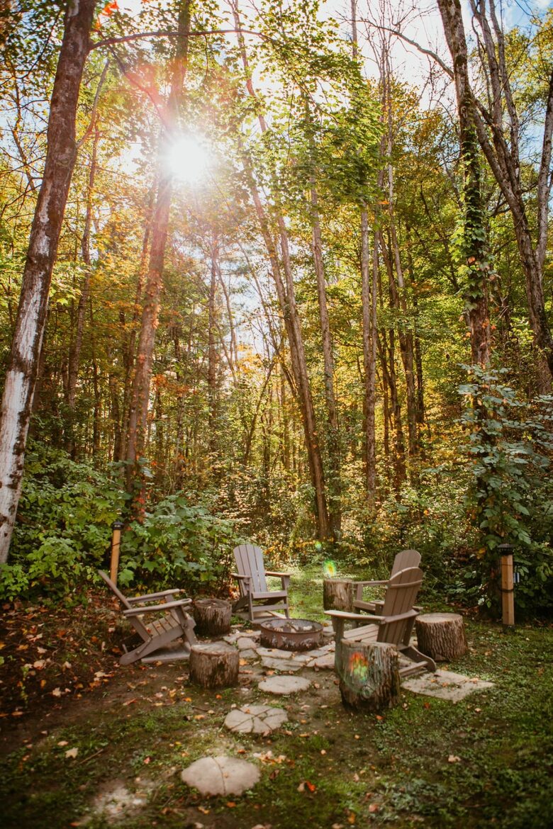 Charming 3-Bedroom Cabin Retreat in the Woods - Coboconk, Canada