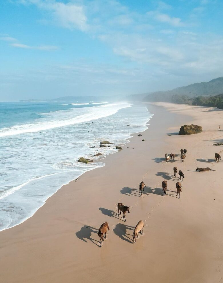 Nihi Sumba - Kasambi Estate (R) - Sumba, Indonesia