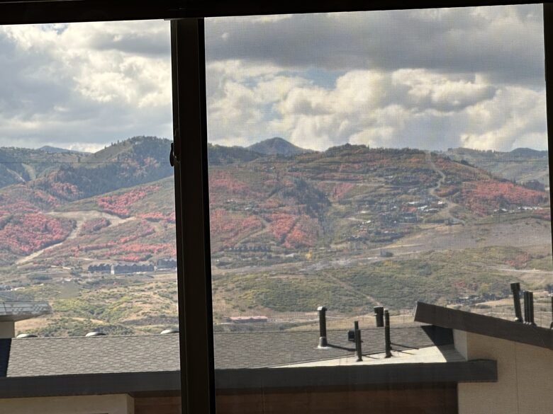 Autum views