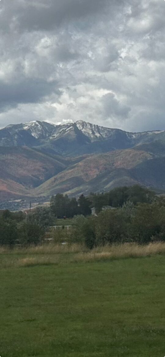 More MT viewa