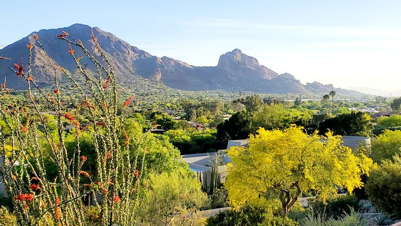 Award Winning Hillside Retreat - Paradise Valley, Arizona