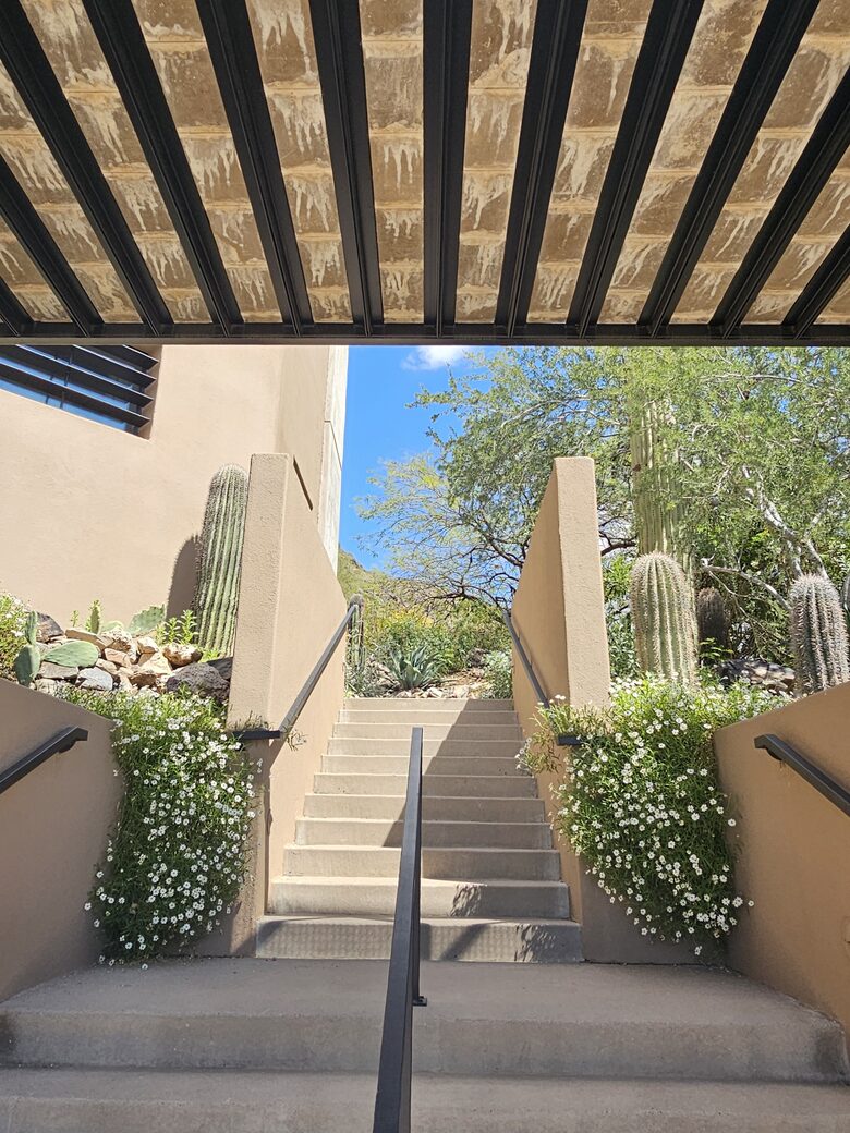 Main entry stairs
