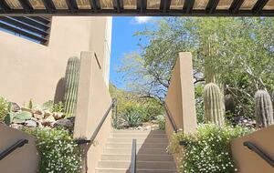 Main entry stairs