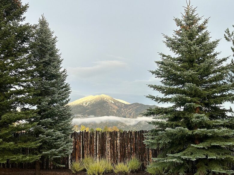 Buena Vista Adobe Hideaway | 20 minutes to Taos Ski Valley - El Prado, New Mexico