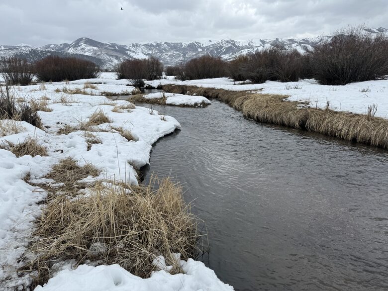 View of the creek facing south from north of property