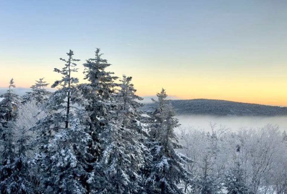 Bear Cub's Den - Snowshoe, West Virginia