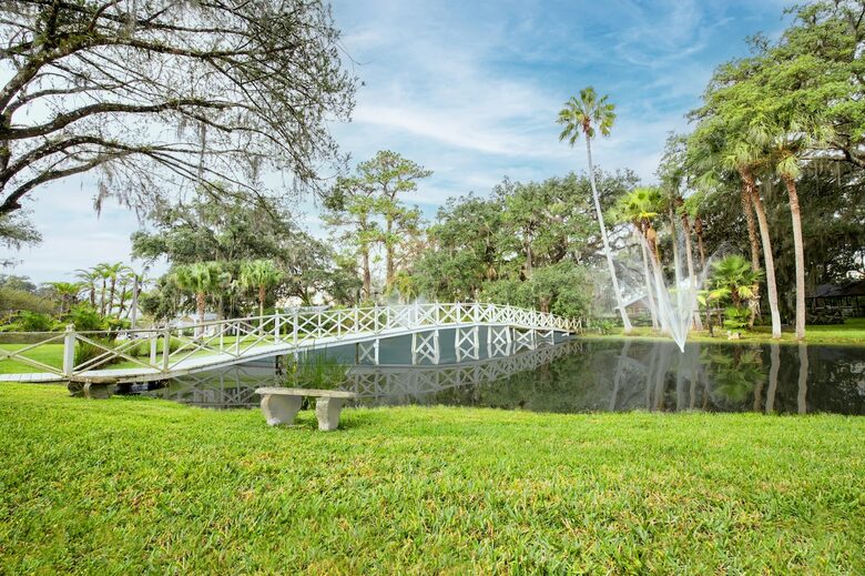 Pond and Infinity Bridge