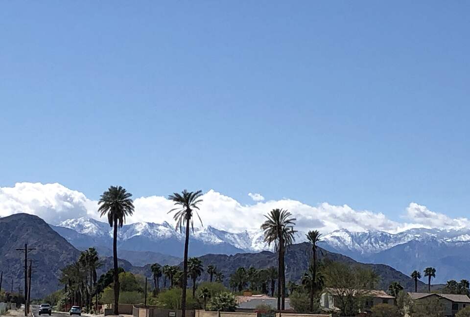 Neighborhood with lush landscaping, views of snow topped mountains
