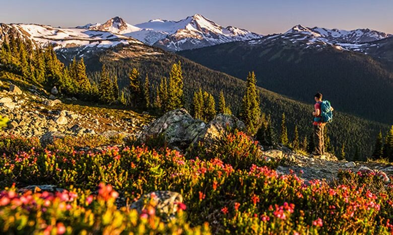 Great hiking in the nearby mountains