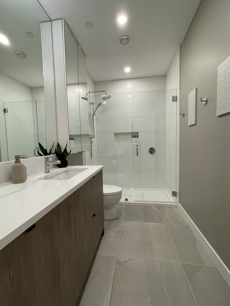 Guest bathroom with walk-in shower