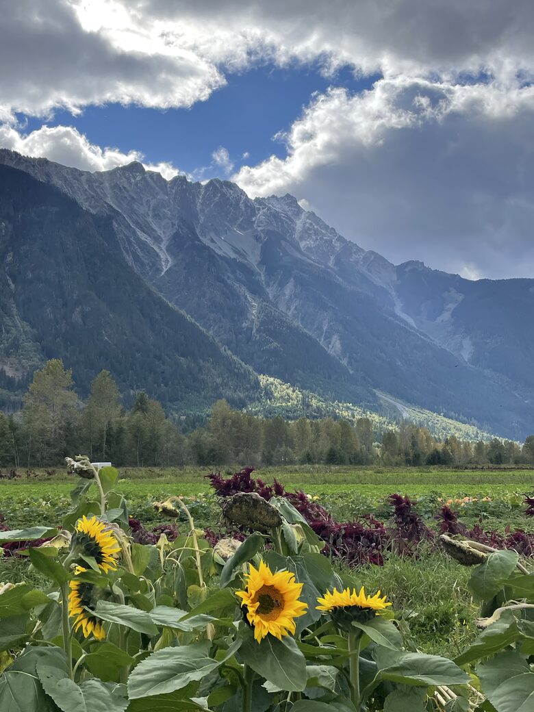 Local farm