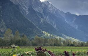 Local farm