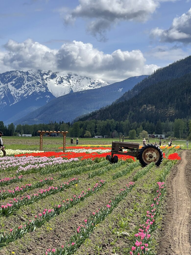 Beautiful farms and flowers
