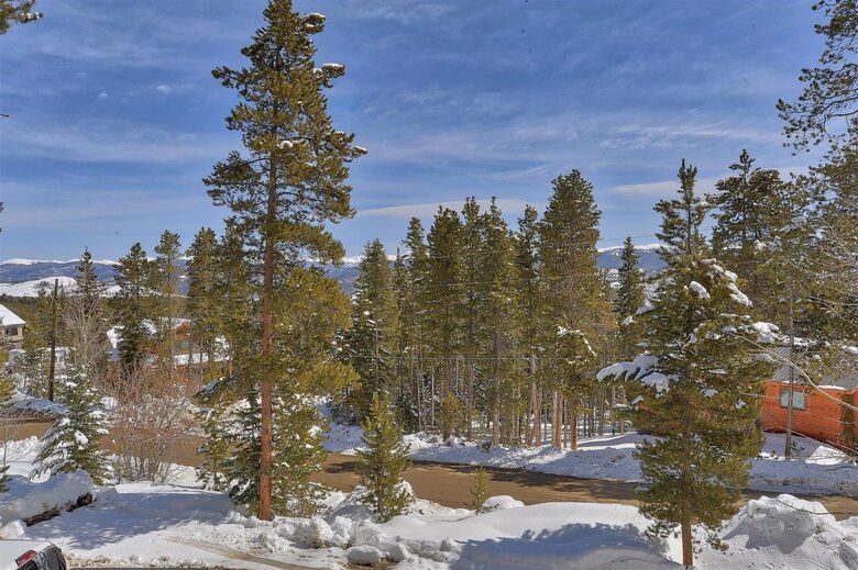 Beauty in the Woods - Breckenridge, Colorado