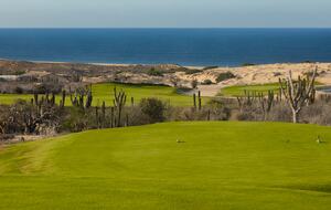 Master Suite (One Bedroom) l Grand Solmar Pacific Dunes - Cabo San Lucas, Mexico
