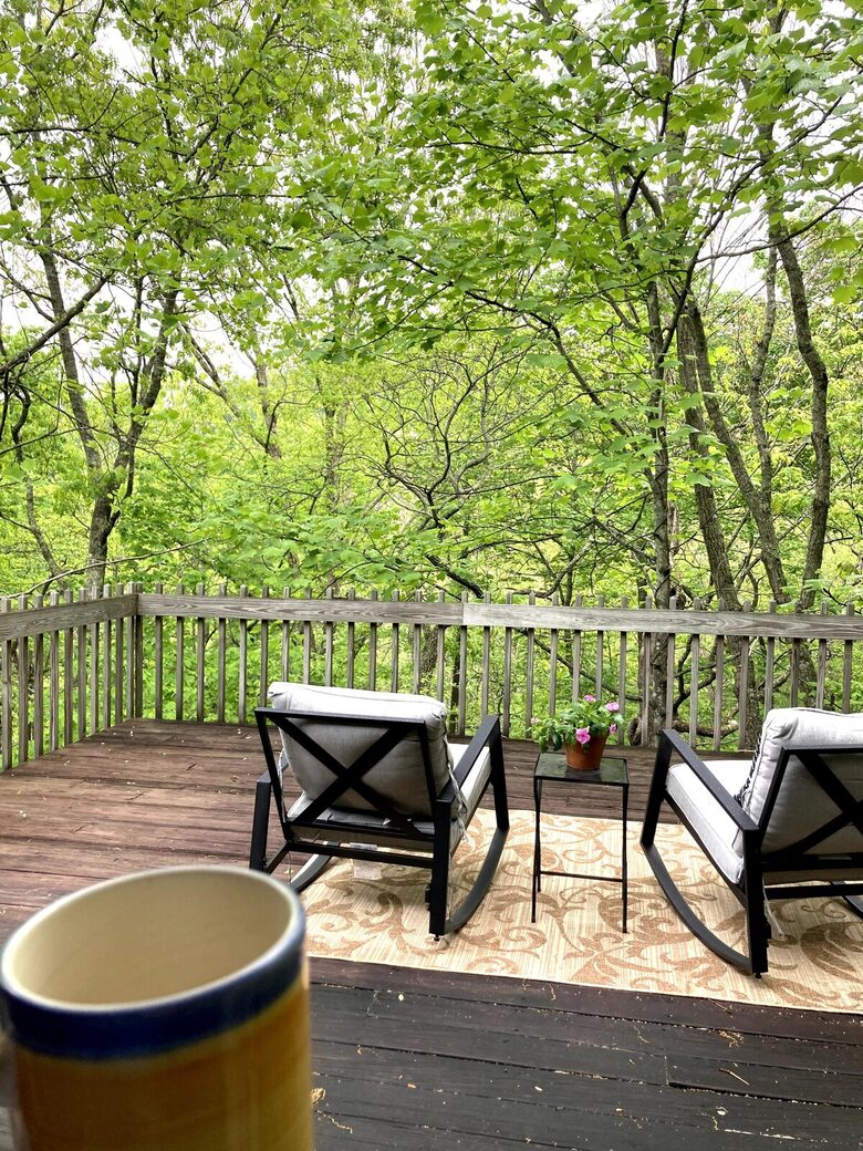 Treetop Montreat Cabin with Creek | 20 minutes to Asheville - Black Mountain, North Carolina