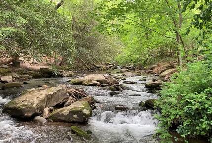 Treetop Montreat Cabin with Creek | 20 minutes to Asheville - Black Mountain, North Carolina