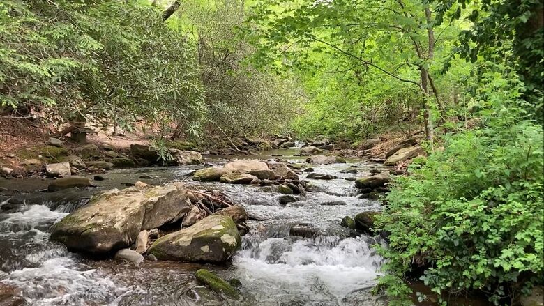 Treetop Montreat Cabin with Creek | 20 minutes to Asheville - Black Mountain, North Carolina