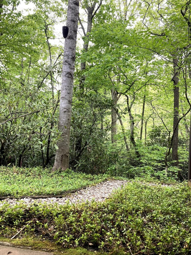 Treetop Montreat Cabin with Creek | 20 minutes to Asheville - Black Mountain, North Carolina