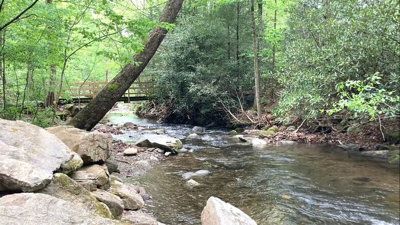 Treetop Montreat Cabin with Creek | 20 minutes to Asheville - Black Mountain, North Carolina
