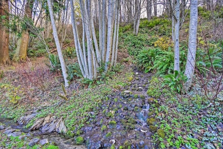 Deer Springs Retreat - Port Angeles, Washington
