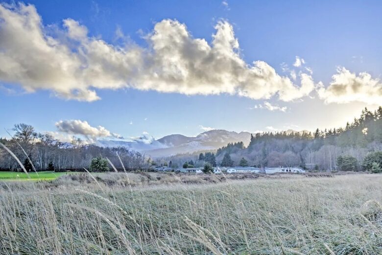Deer Springs Retreat - Port Angeles, Washington