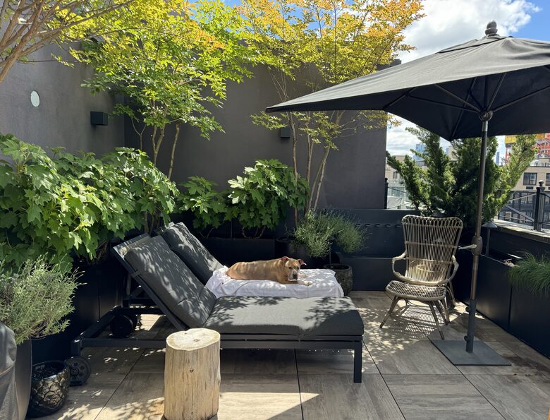 Terrace with lounges, table/chairs and grill. NYC, sunset views.