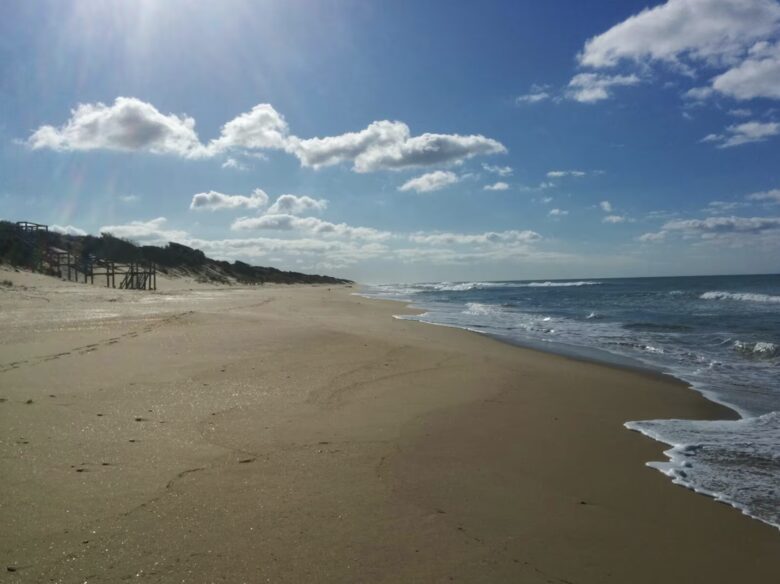 90 Mile Beach Luxury Escape - The Honeysuckles, Australia