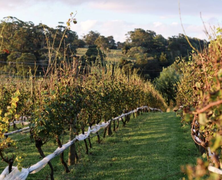 Cupitt's Estate | The Farmhouse - Ulladulla, Australia