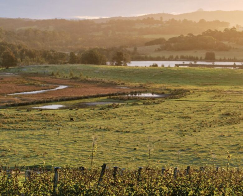 Cupitt's Estate | The Farmhouse - Ulladulla, Australia