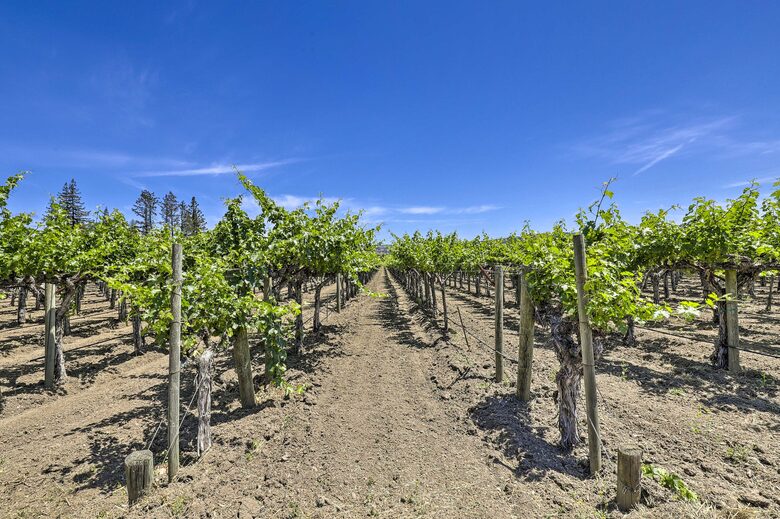Napa Valley Haven with Vineyard Views - Napa, California