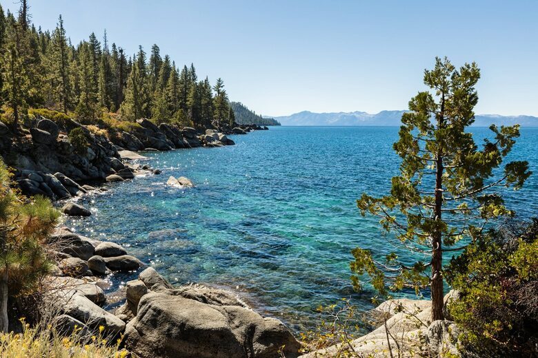 Marriott's Timber Lodge | One Bedroom - South Lake Tahoe, California