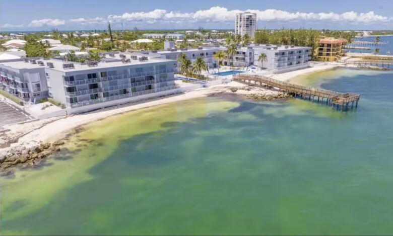 Casa Playa - Key Colony Beach, Florida