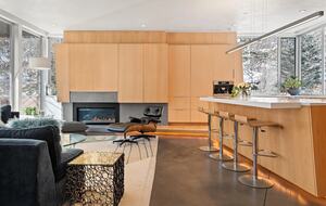 West Aspen Architecturally Award-Winning Gem - Aspen, Colorado