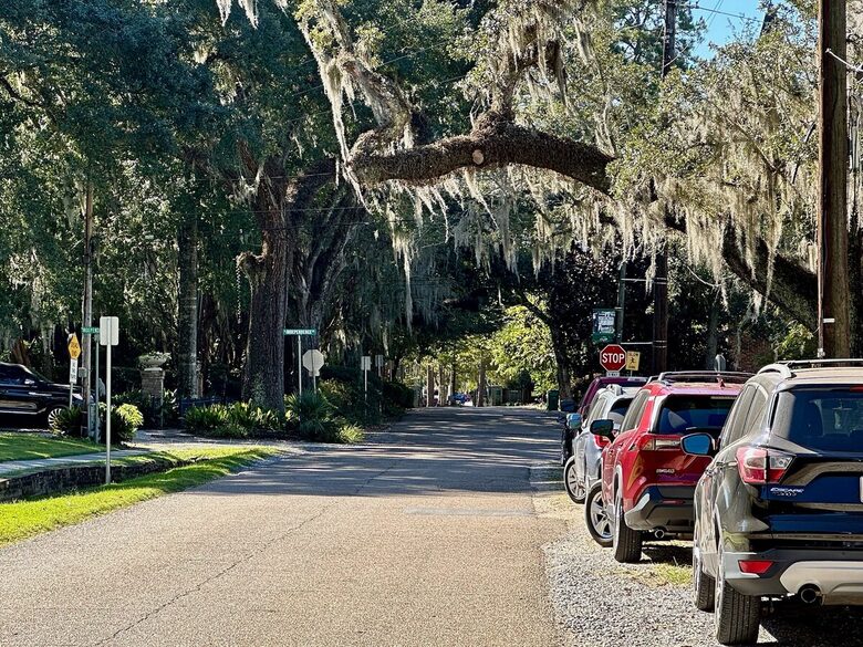 Charming Downtown Covington Retreat - Covington, Louisiana