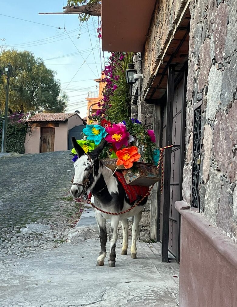 The Estate of Casa de los Leones - San Miguel de Allende, Mexico
