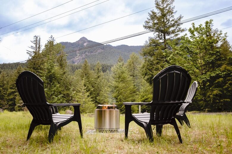 Relax in Cottonwood Cabin - Packwood, Washington