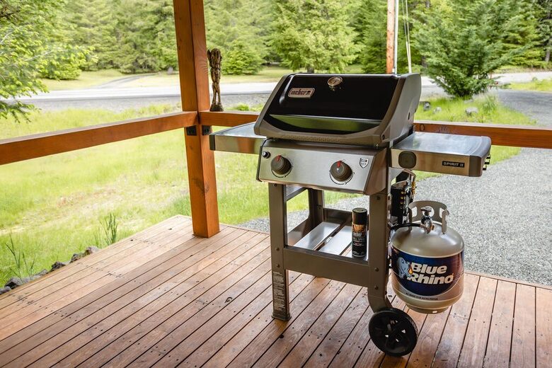 Relax in Cottonwood Cabin - Packwood, Washington