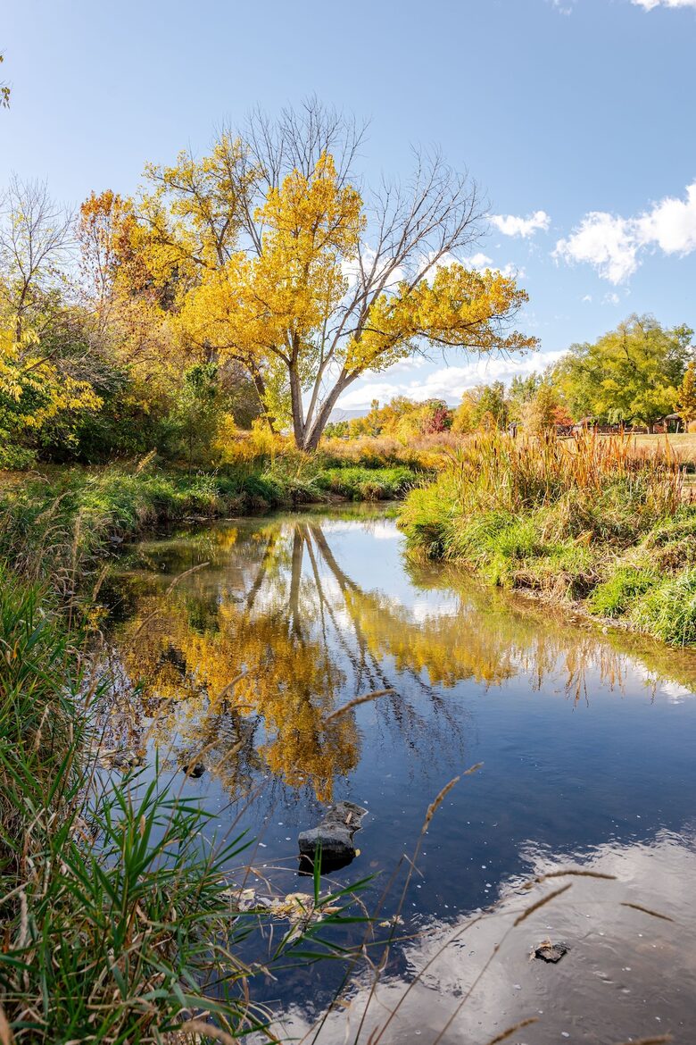 Urban Retreat with Red Rocks Charm - Arvada, Colorado