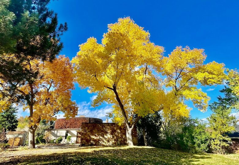 Urban Retreat with Red Rocks Charm - Arvada, Colorado