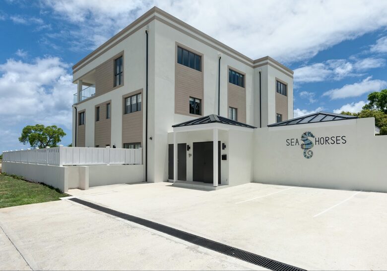 Seahorses | Lower Carlton, St James, Barbados - Speightstown, Barbados