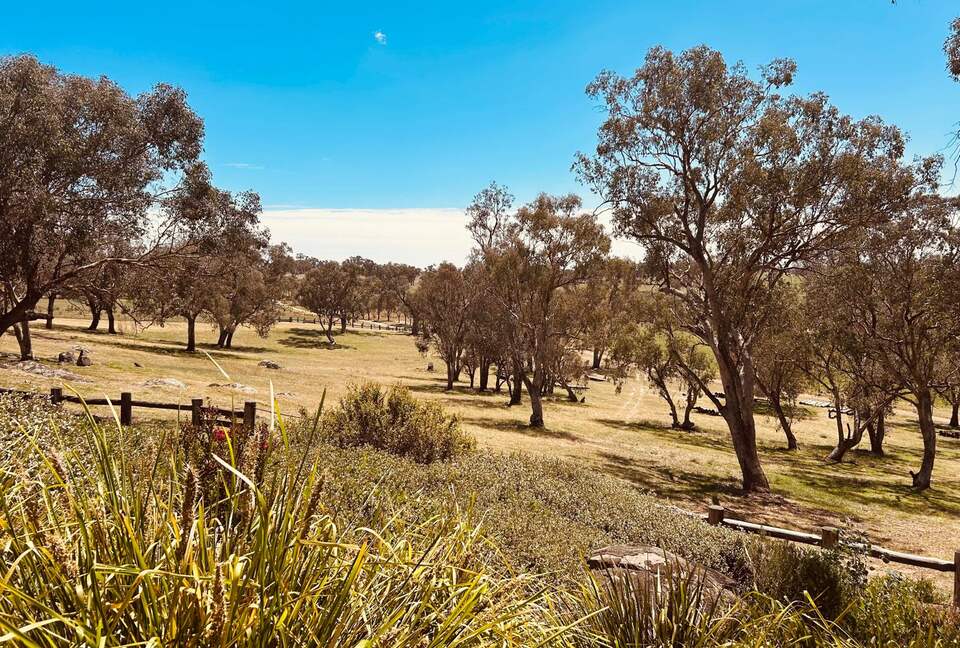 Australian Sheep/Wheat Farm - Nubba, Australia
