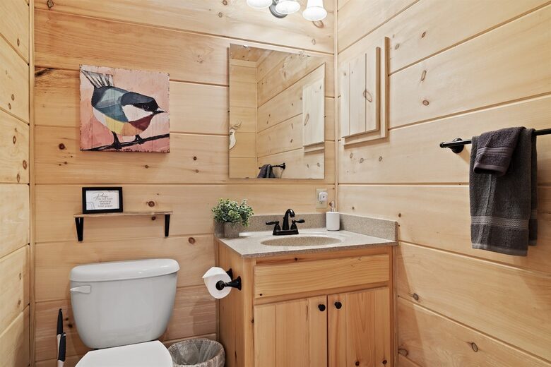 TIMBER RIDGE RETREAT-with Private Theater, Hot Tub & Game Room, Mountain Views - Mars Hill, North Carolina