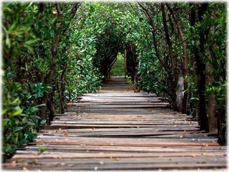 Casa Uluwatu | Lovely Walk to Beach - Playa Avellana, Costa Rica