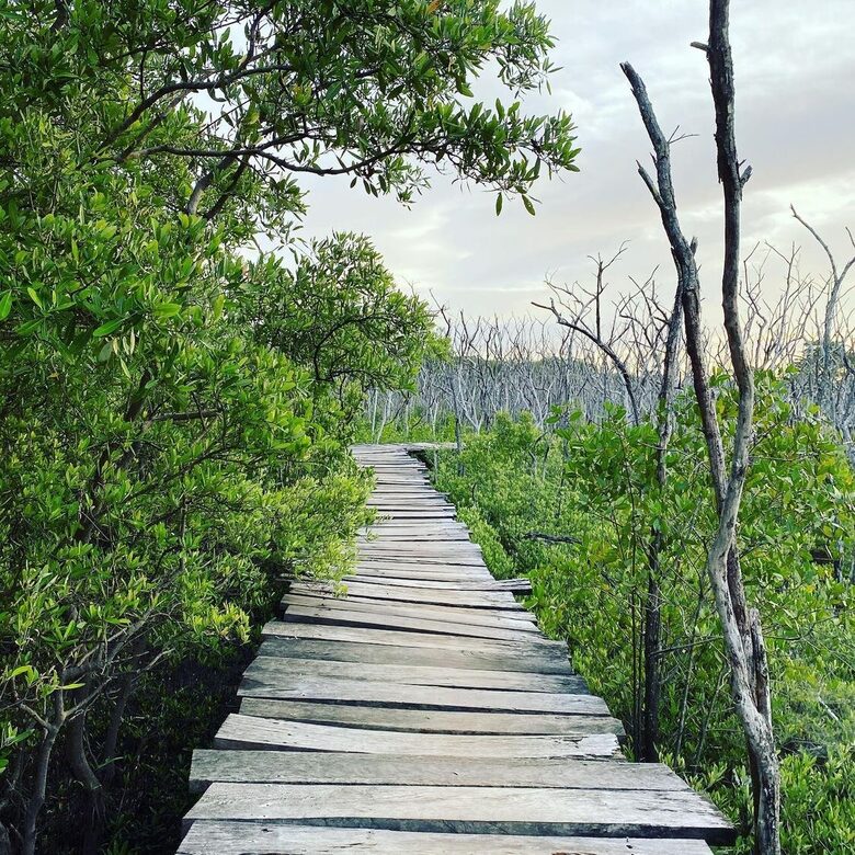 Casa Uluwatu | Lovely Walk to Beach - Playa Avellana, Costa Rica