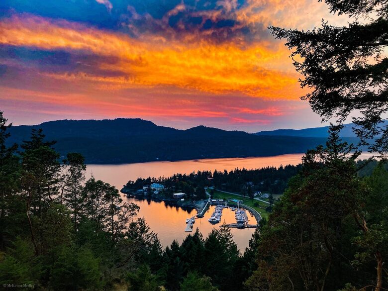 Huge Cabin with Best View on Orcas - Eastsound, Washington