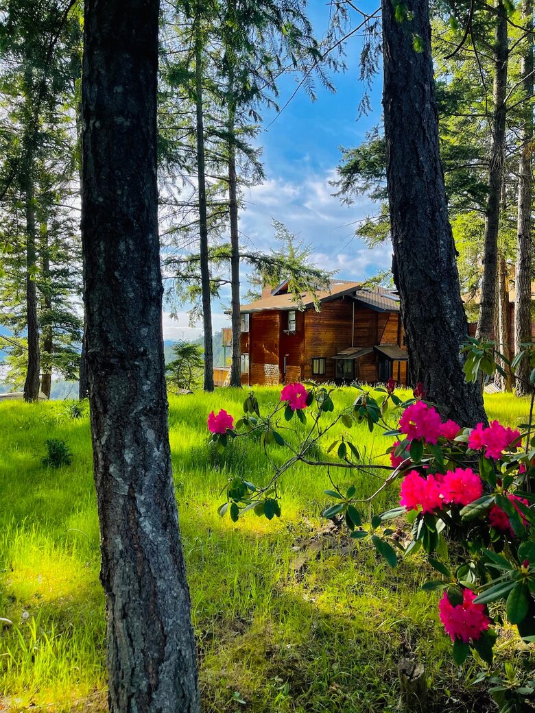 Huge Cabin with Best View on Orcas - Eastsound, Washington