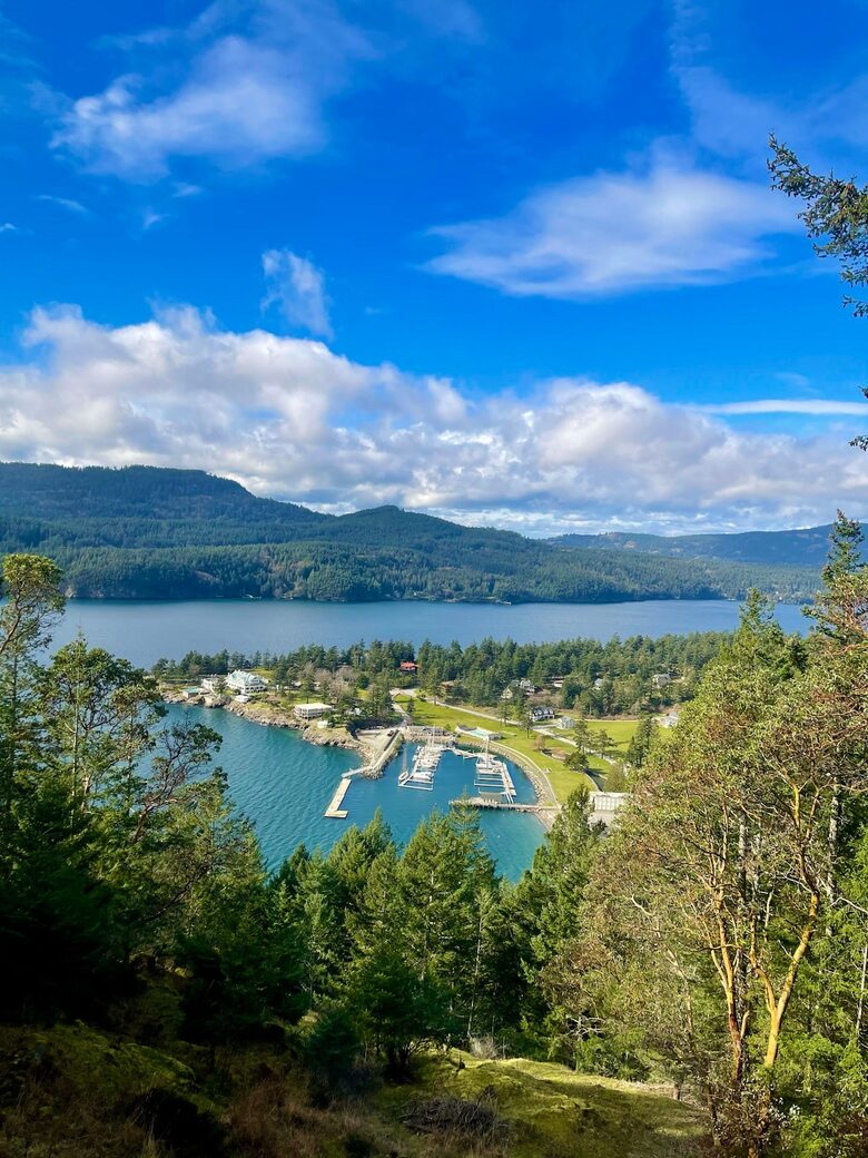 Huge Cabin with Best View on Orcas - Eastsound, Washington