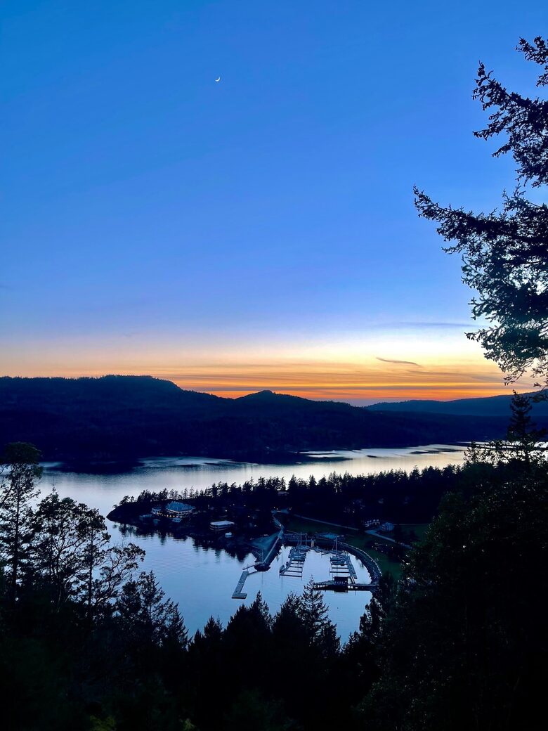 Huge Cabin with Best View on Orcas - Eastsound, Washington